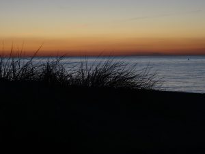 Grasswarder at sunset